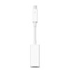 Buy apple thunderbolt to firewire adapter in Pakistan