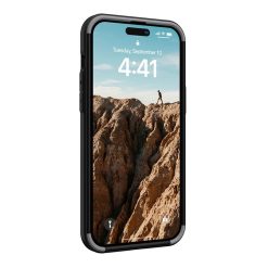 Buy iPhone 14 Pro Max Mallard Case in Pakistan